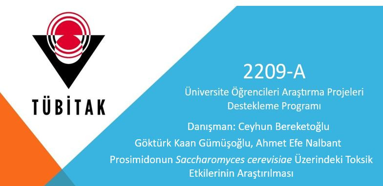 2209-A Üniversite Öğrencileri Araştırma Projeleri Destekleme Programı